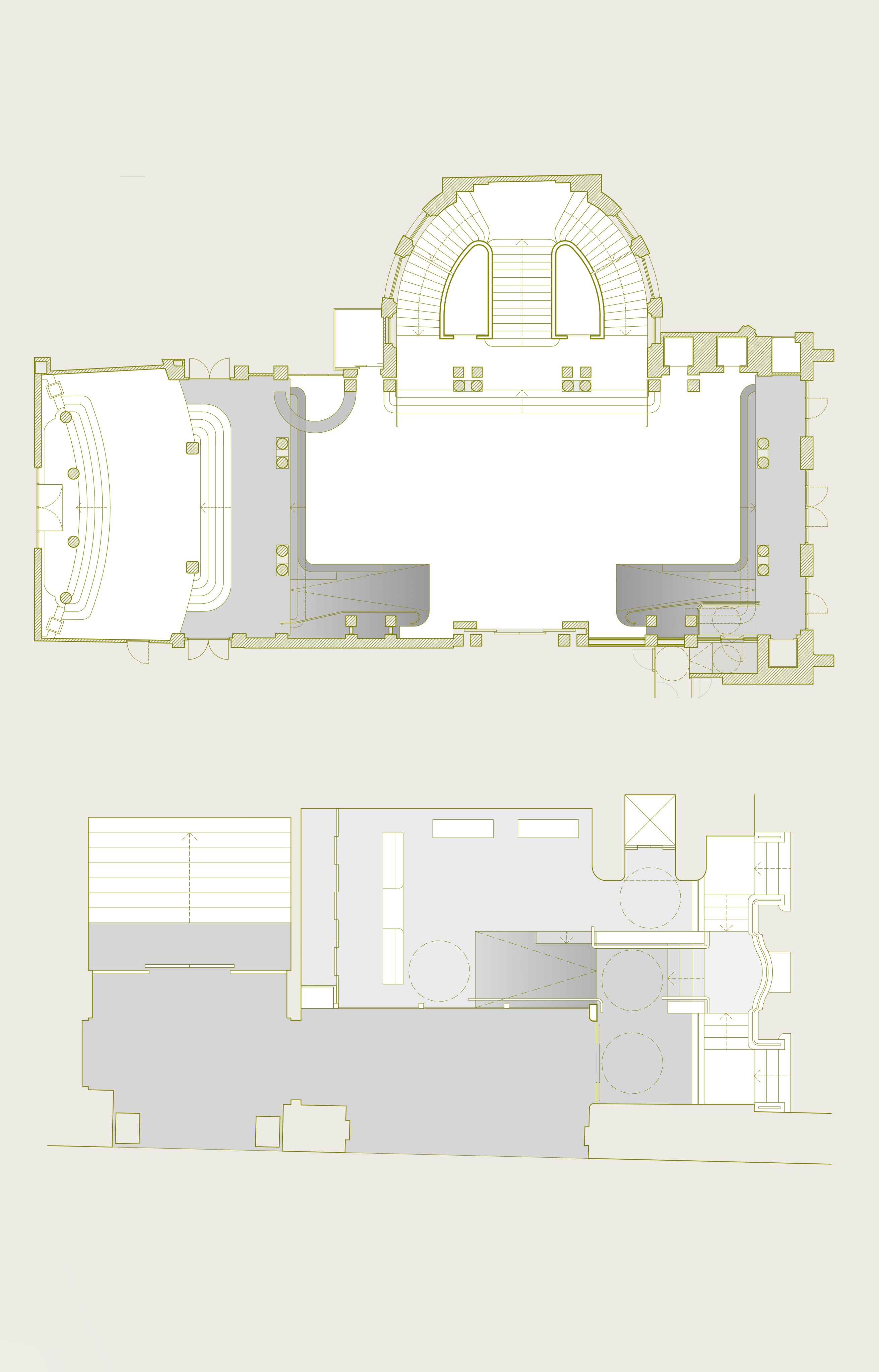 RIBERA DE CURTIDORES_planta verde oliva con fondo 1